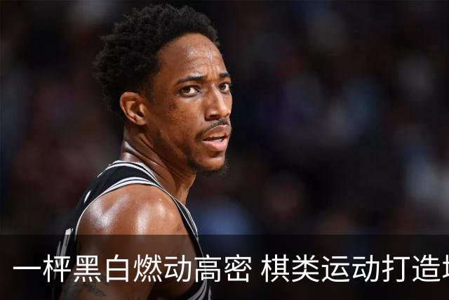 一枰黑白燃动高密 棋类运动打造城市新名片