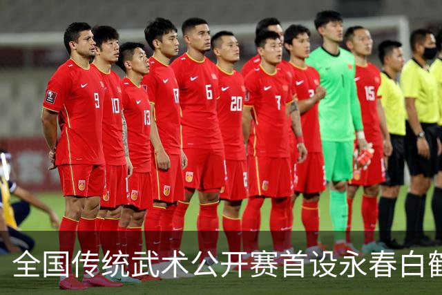 全国传统武术公开赛首设永春白鹤拳赛区 海内外选手以“拳”会友